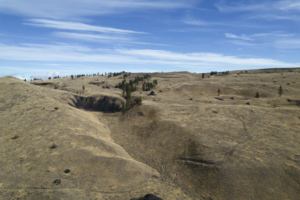 Screenshot-2025-03-24-at-10.44.31 PM